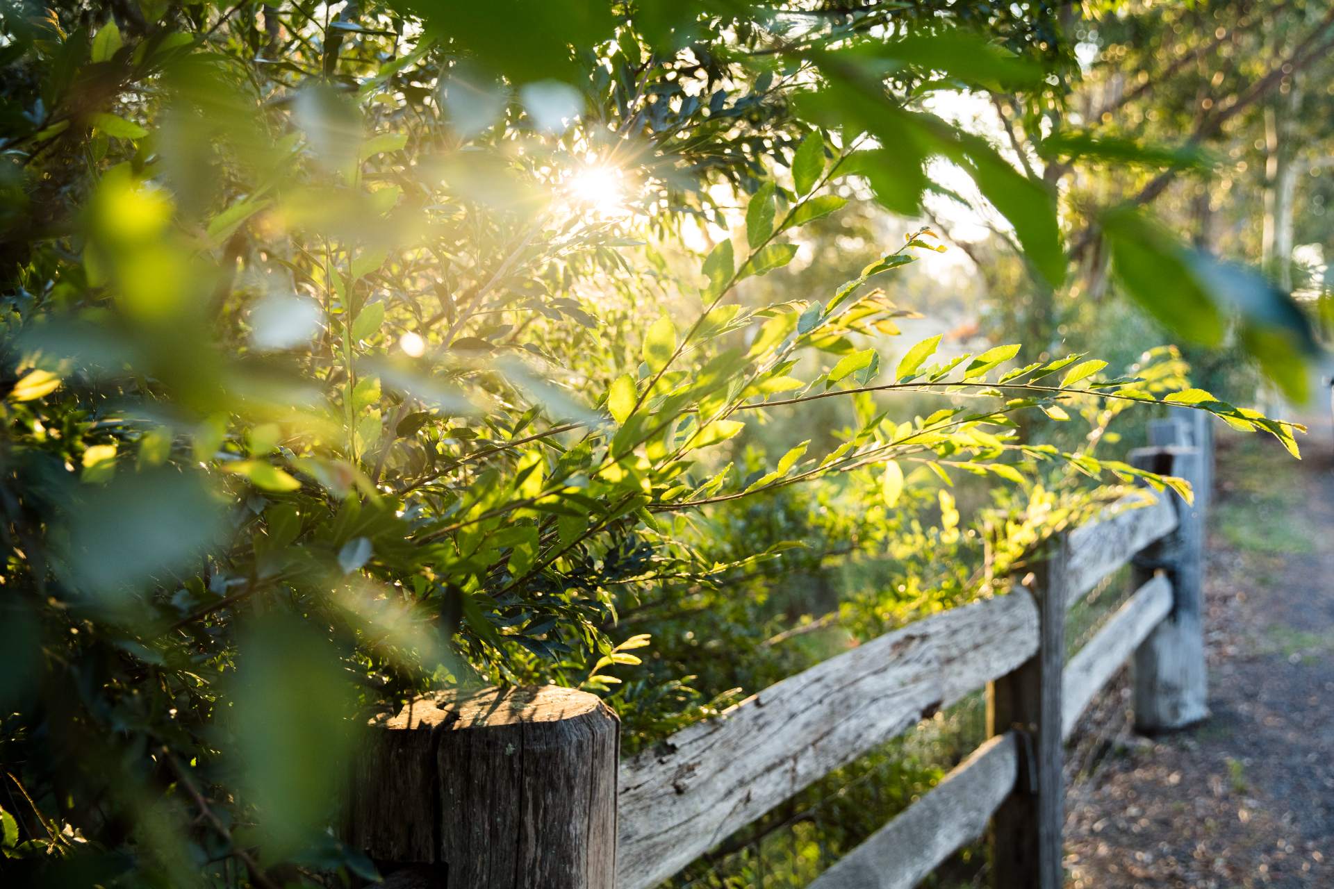 [Land for Sale] Stockland Lakeside, Gledswood Hills OpenLot